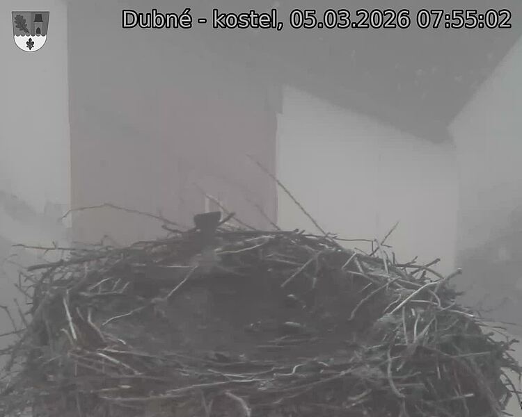 Capi_Dubne_20260305_075502.jpg (1350&nbsp;x&nbsp;1080)