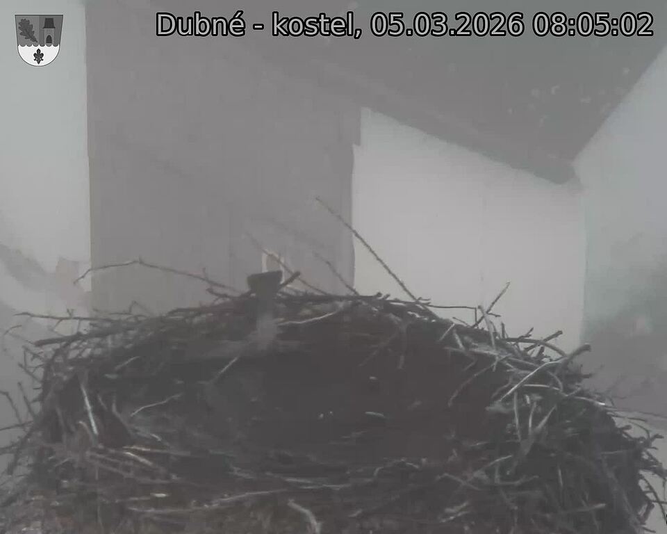 Capi_Dubne_20260305_080502.jpg (1350&nbsp;x&nbsp;1080)