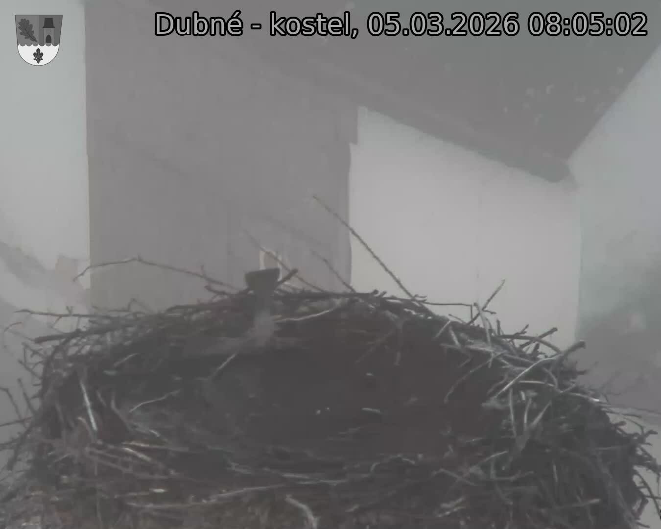 Capi_Dubne_20260305_080502.jpg (1350&nbsp;x&nbsp;1080)