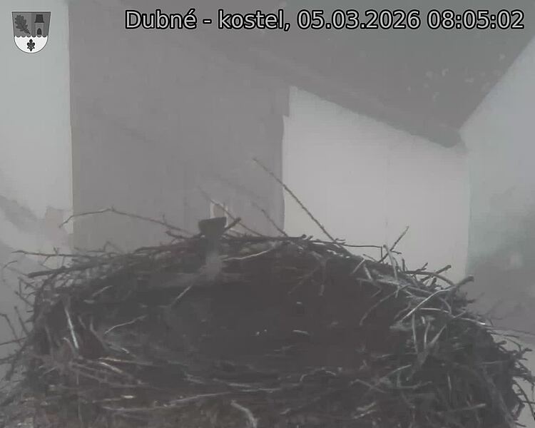Capi_Dubne_20260305_080502.jpg (1350&nbsp;x&nbsp;1080)