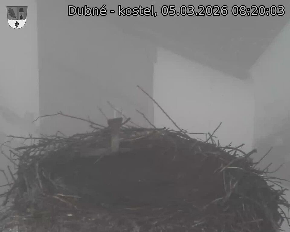 Capi_Dubne_20260305_082003.jpg (1350&nbsp;x&nbsp;1080)