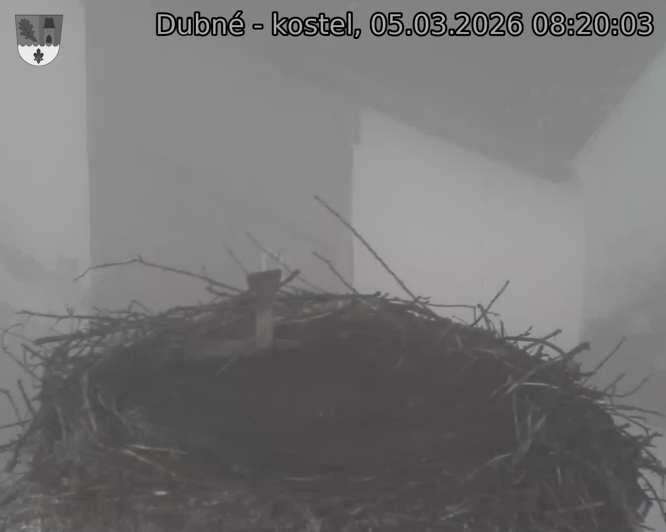 Capi_Dubne_20260305_082003.jpg (1350&nbsp;x&nbsp;1080)