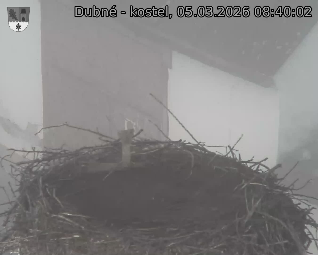 Capi_Dubne_20260305_084002.jpg (1350&nbsp;x&nbsp;1080)