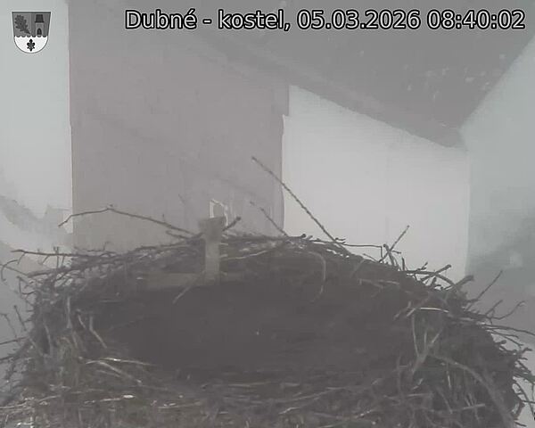 Capi_Dubne_20260305_084002.jpg (1350&nbsp;x&nbsp;1080)