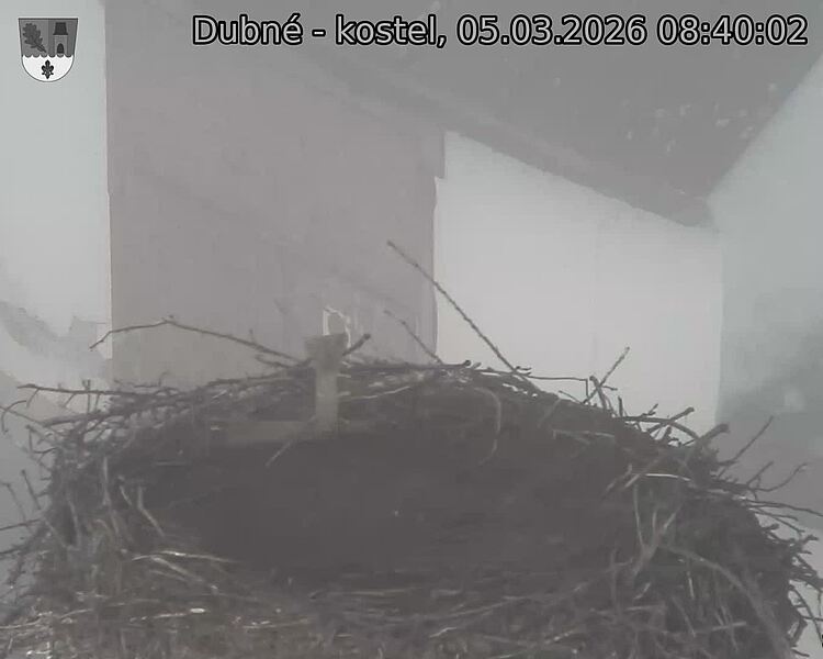 Capi_Dubne_20260305_084002.jpg (1350&nbsp;x&nbsp;1080)