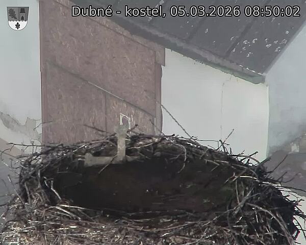 Capi_Dubne_20260305_085002.jpg (1350&nbsp;x&nbsp;1080)