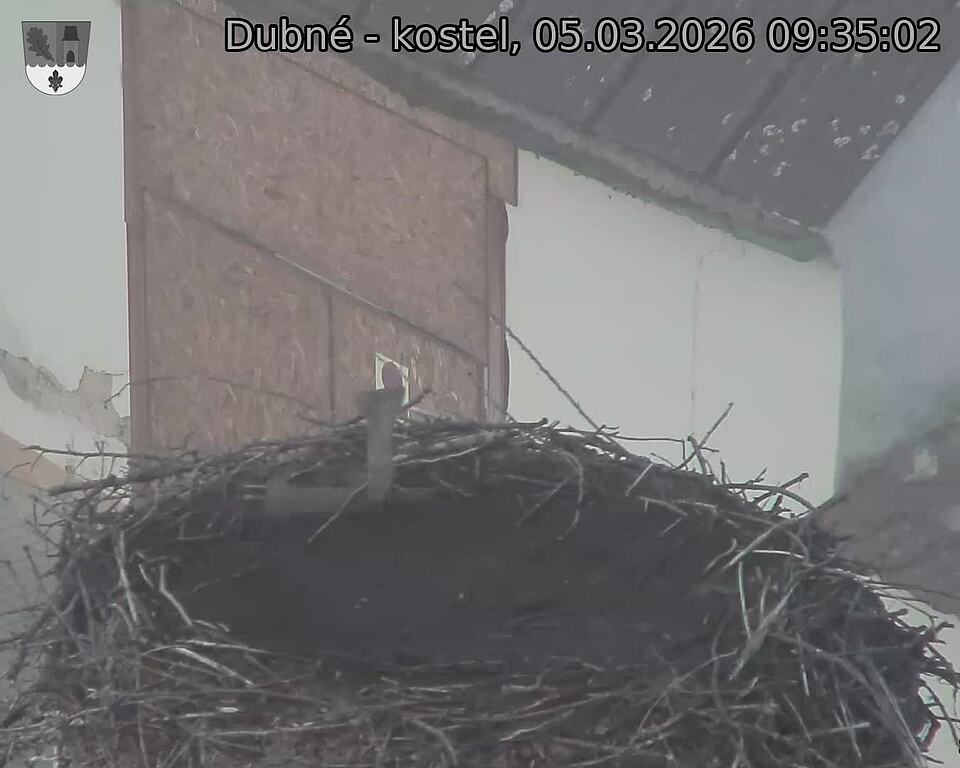 Capi_Dubne_20260305_093502.jpg (1350&nbsp;x&nbsp;1080)