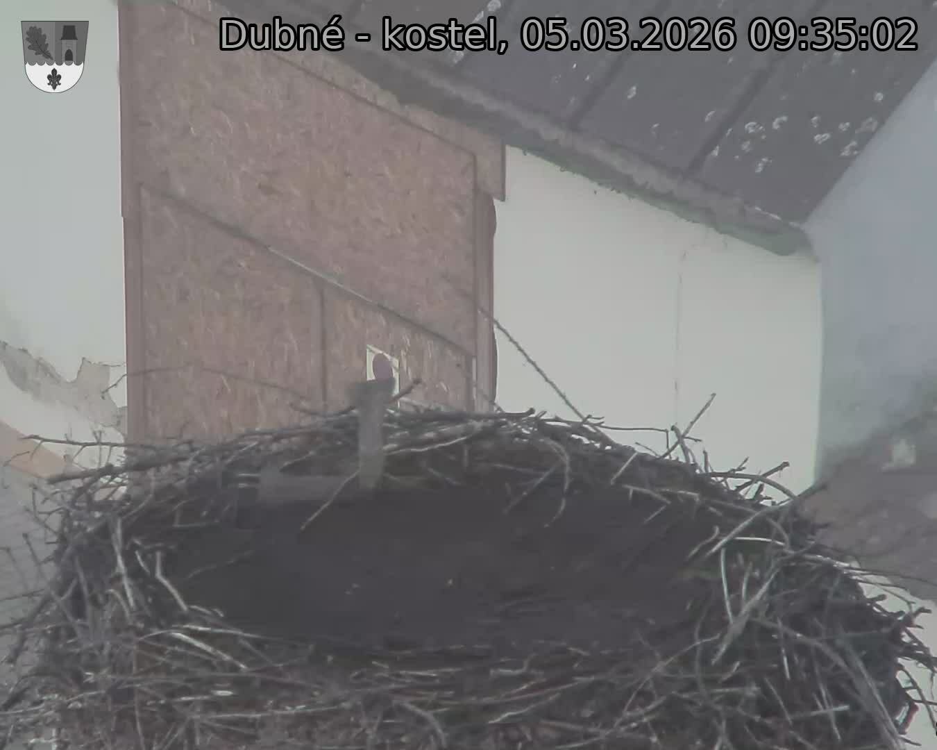 Capi_Dubne_20260305_093502.jpg (1350&nbsp;x&nbsp;1080)