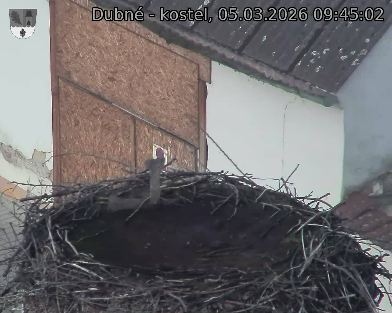 Capi_Dubne_20260305_094502.jpg (1350&nbsp;x&nbsp;1080)