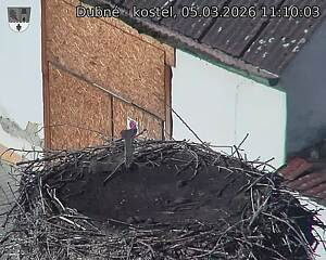 Capi_Dubne_20260305_111003.jpg (1350&nbsp;x&nbsp;1080)