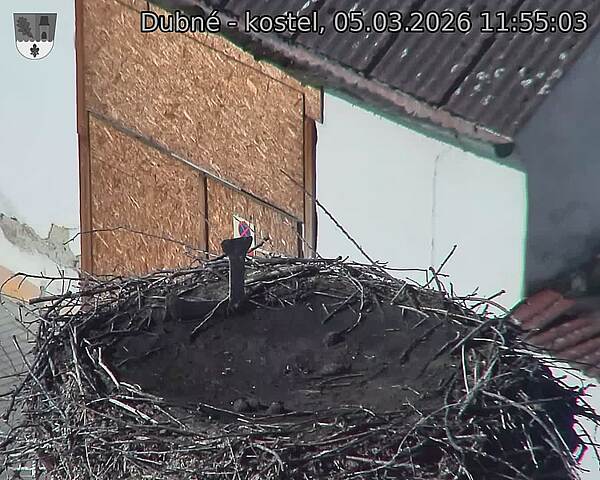 Capi_Dubne_20260305_115503.jpg (1350&nbsp;x&nbsp;1080)