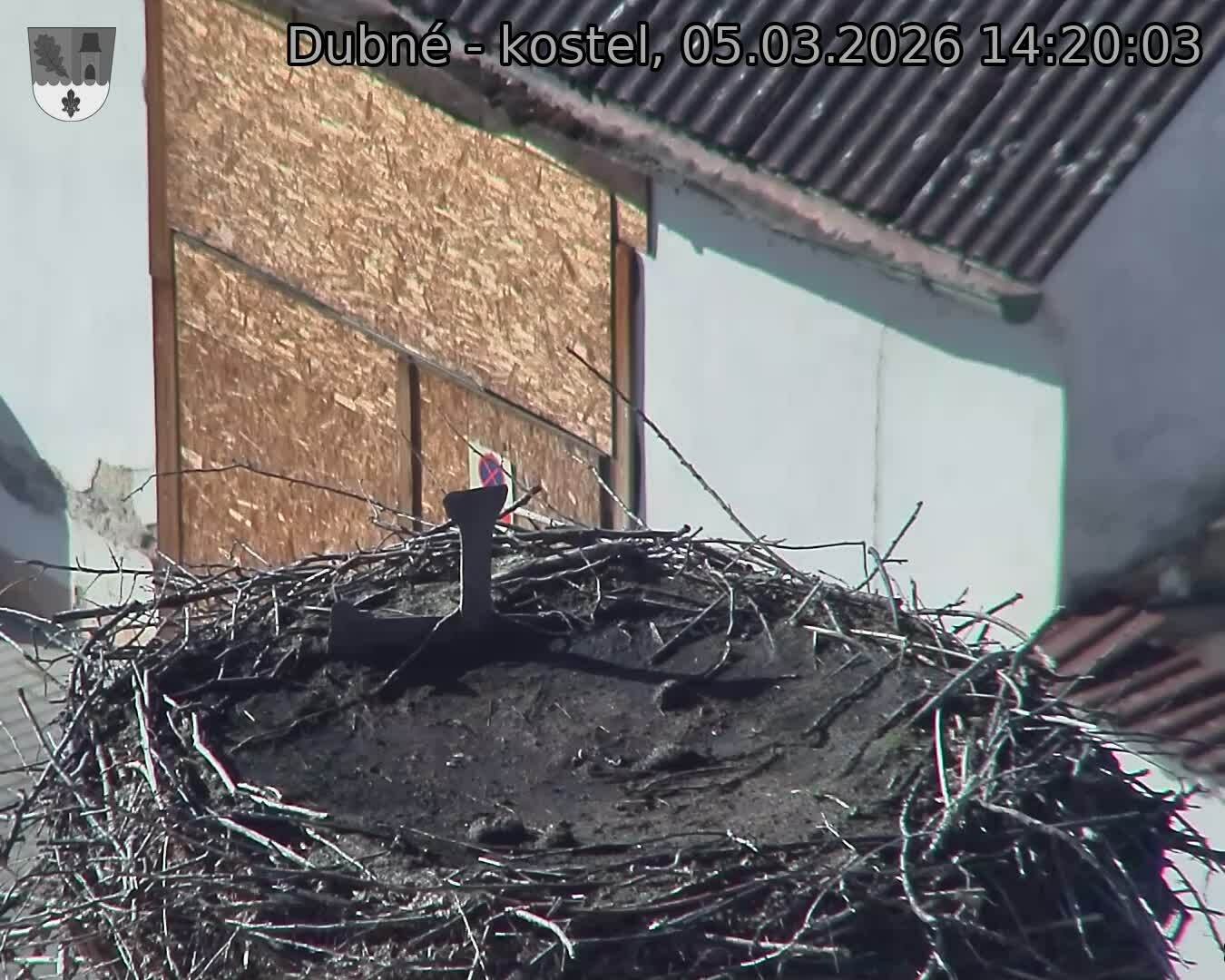 Capi_Dubne_20260305_142003.jpg (1350&nbsp;x&nbsp;1080)
