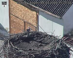 Capi_Dubne_20260305_151502.jpg (1350&nbsp;x&nbsp;1080)