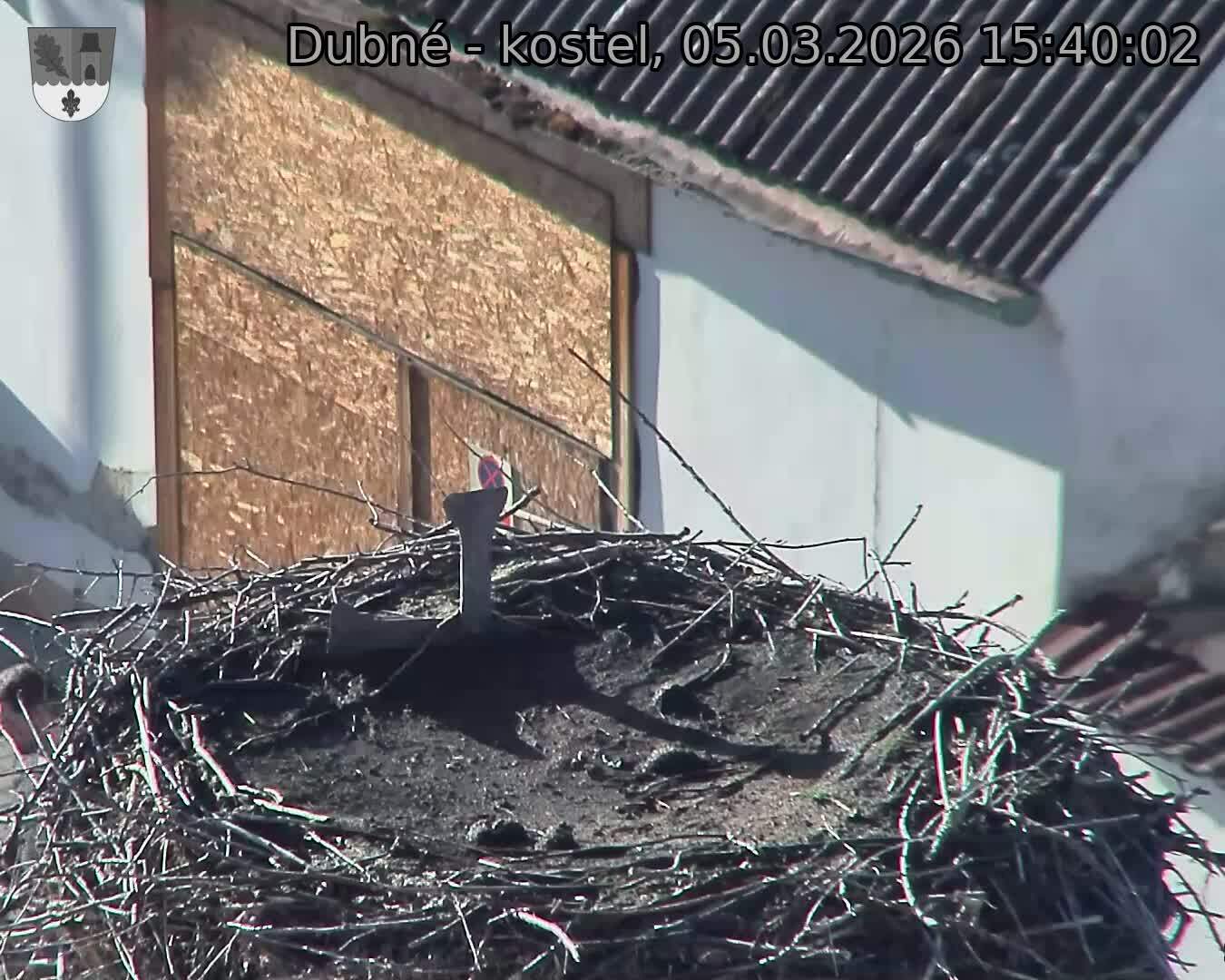 Capi_Dubne_20260305_154002.jpg (1350&nbsp;x&nbsp;1080)