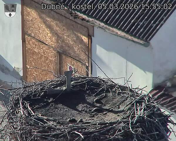 Capi_Dubne_20260305_155503.jpg (1350&nbsp;x&nbsp;1080)