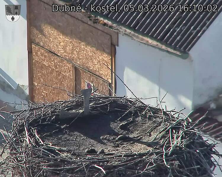 Capi_Dubne_20260305_161002.jpg (1350&nbsp;x&nbsp;1080)