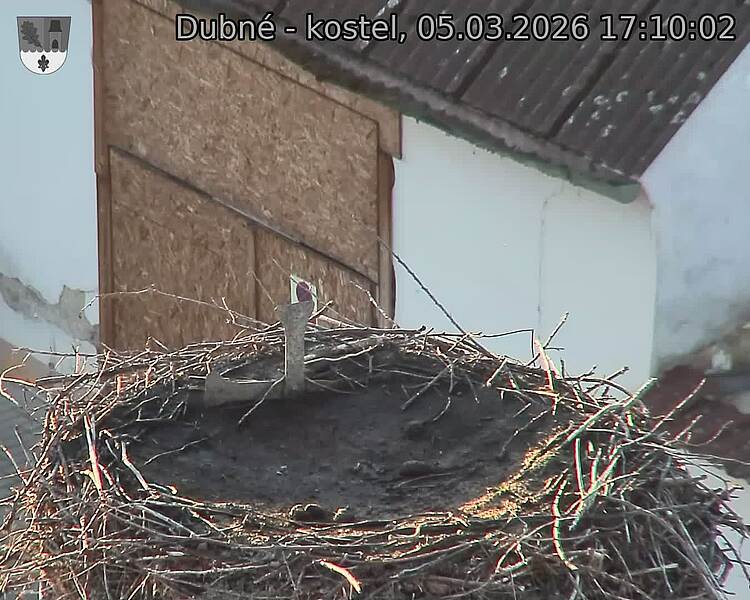 Capi_Dubne_20260305_171002.jpg (1350&nbsp;x&nbsp;1080)