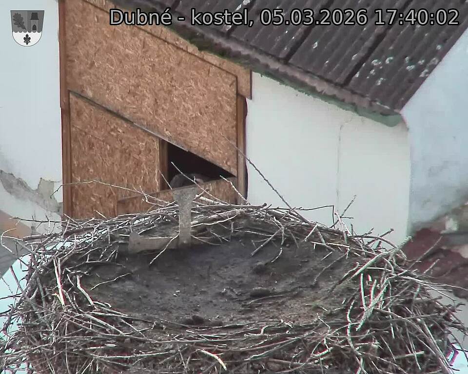 Capi_Dubne_20260305_174002.jpg (1350&nbsp;x&nbsp;1080)
