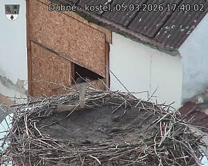 Capi_Dubne_20260305_174002.jpg (1350&nbsp;x&nbsp;1080)