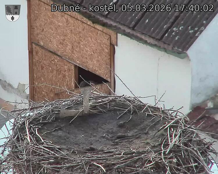Capi_Dubne_20260305_174002.jpg (1350&nbsp;x&nbsp;1080)