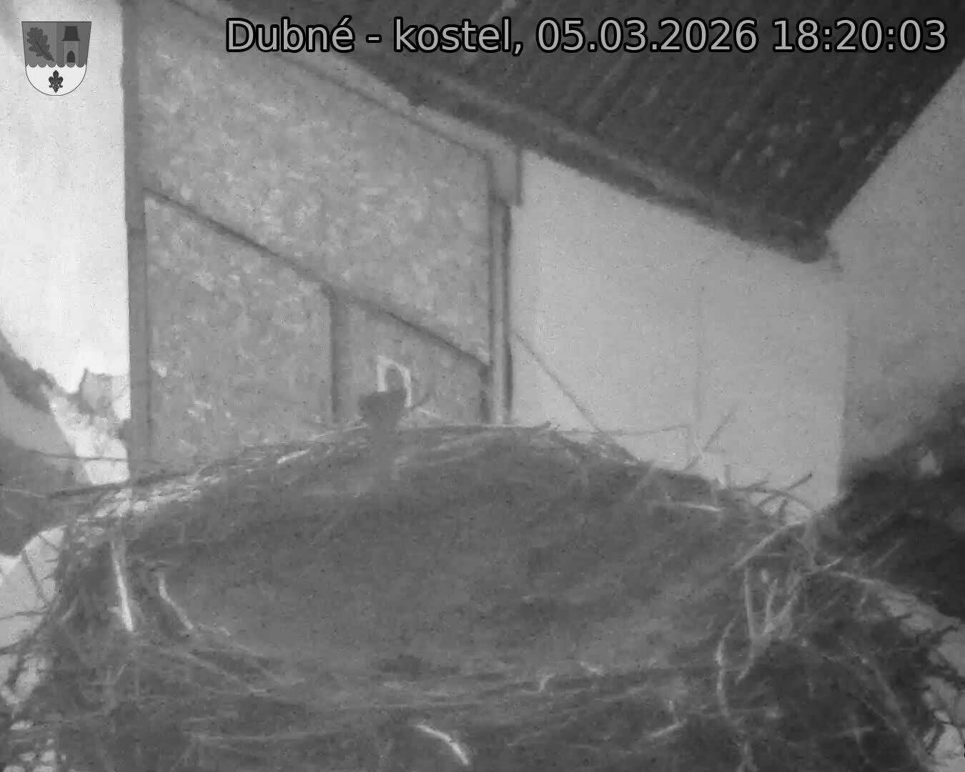Capi_Dubne_20260305_182003.jpg (1350&nbsp;x&nbsp;1080)