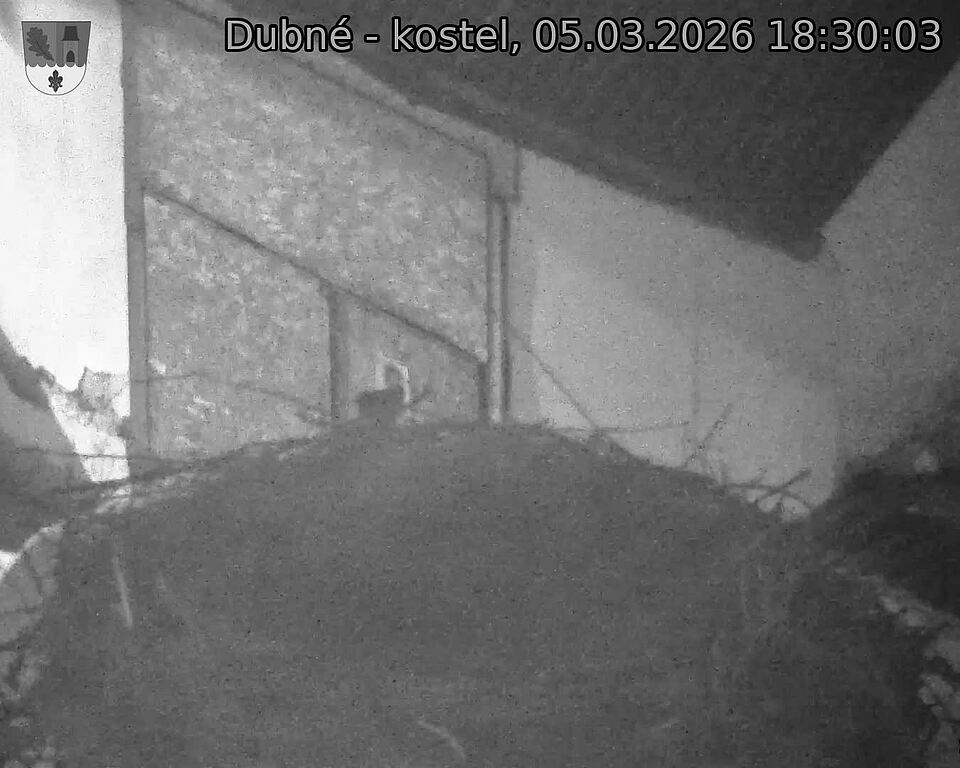 Capi_Dubne_20260305_183003.jpg (1350&nbsp;x&nbsp;1080)