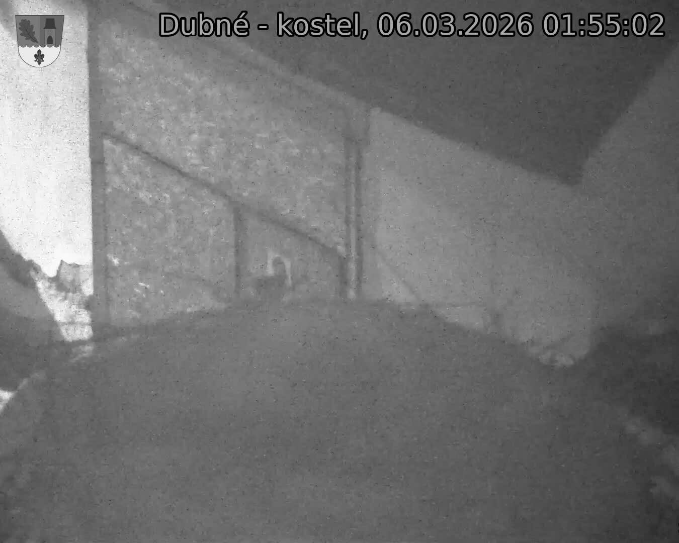 Capi_Dubne_20260306_015502.jpg (1350&nbsp;x&nbsp;1080)