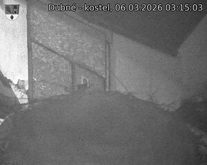 Capi_Dubne_20260306_031503.jpg (1350&nbsp;x&nbsp;1080)