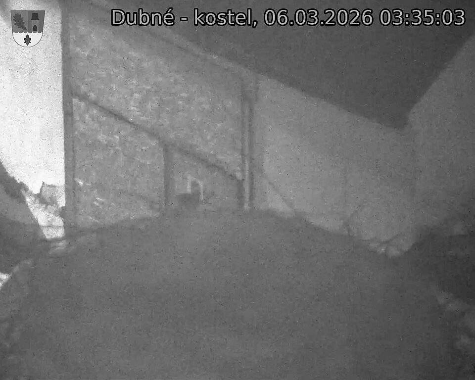 Capi_Dubne_20260306_033503.jpg (1350&nbsp;x&nbsp;1080)