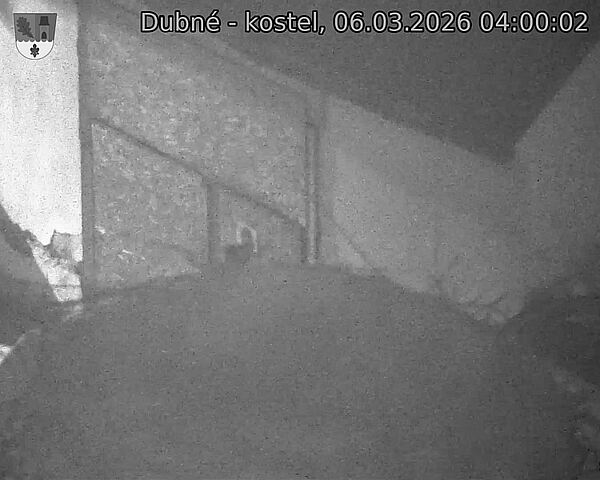 Capi_Dubne_20260306_040002.jpg (1350&nbsp;x&nbsp;1080)