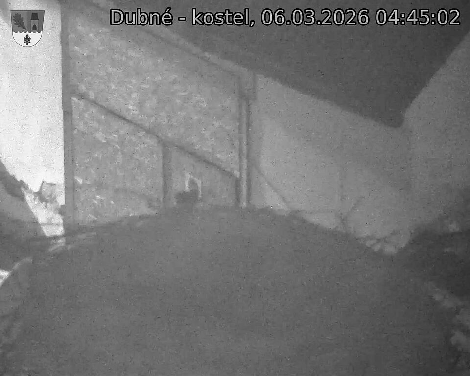 Capi_Dubne_20260306_044502.jpg (1350&nbsp;x&nbsp;1080)