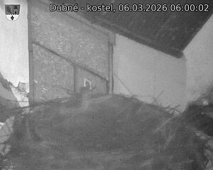 Capi_Dubne_20260306_060002.jpg (1350&nbsp;x&nbsp;1080)