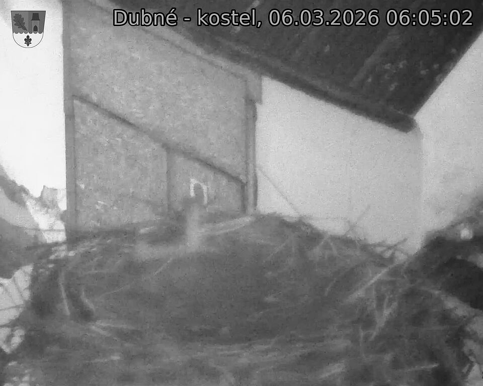 Capi_Dubne_20260306_060502.jpg (1350&nbsp;x&nbsp;1080)