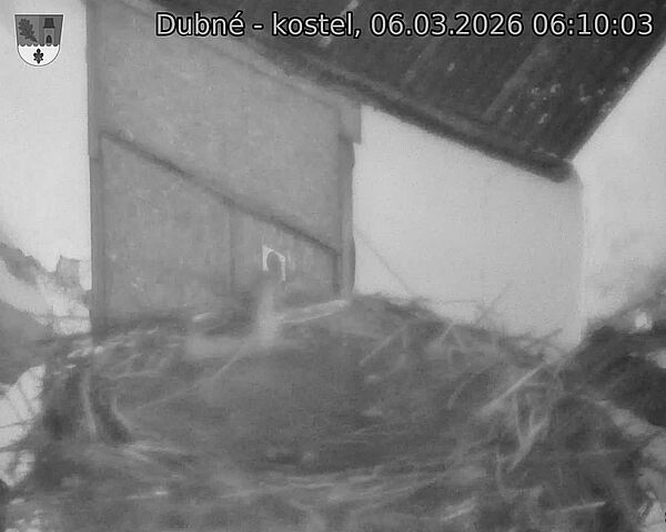 Capi_Dubne_20260306_061003.jpg (1350&nbsp;x&nbsp;1080)