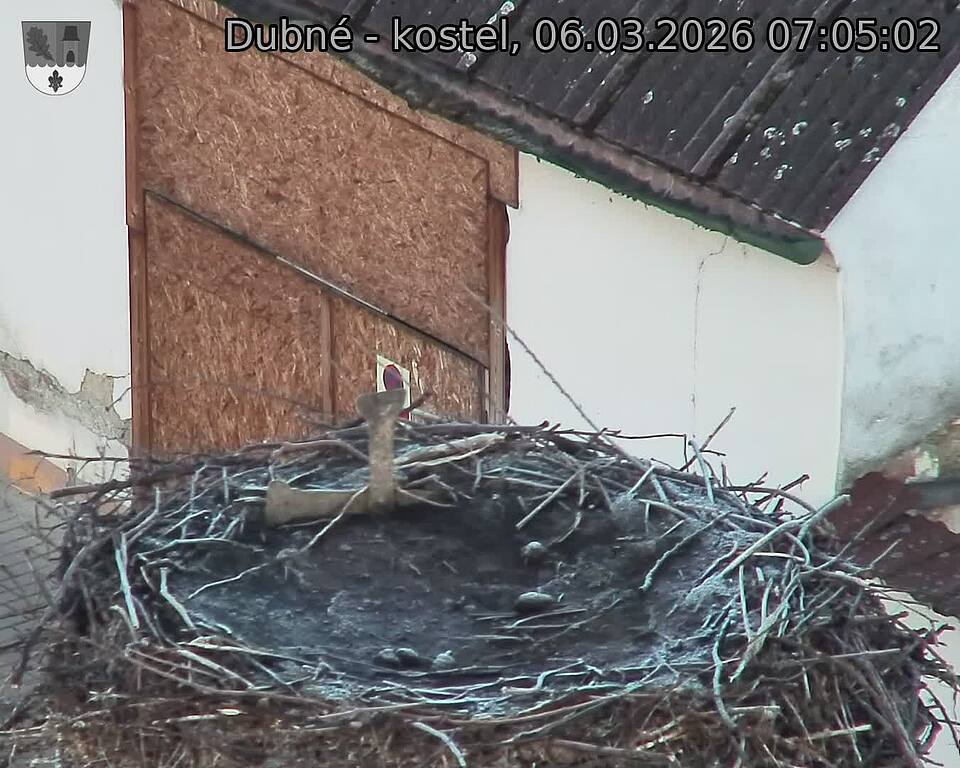 Capi_Dubne_20260306_070502.jpg (1350&nbsp;x&nbsp;1080)