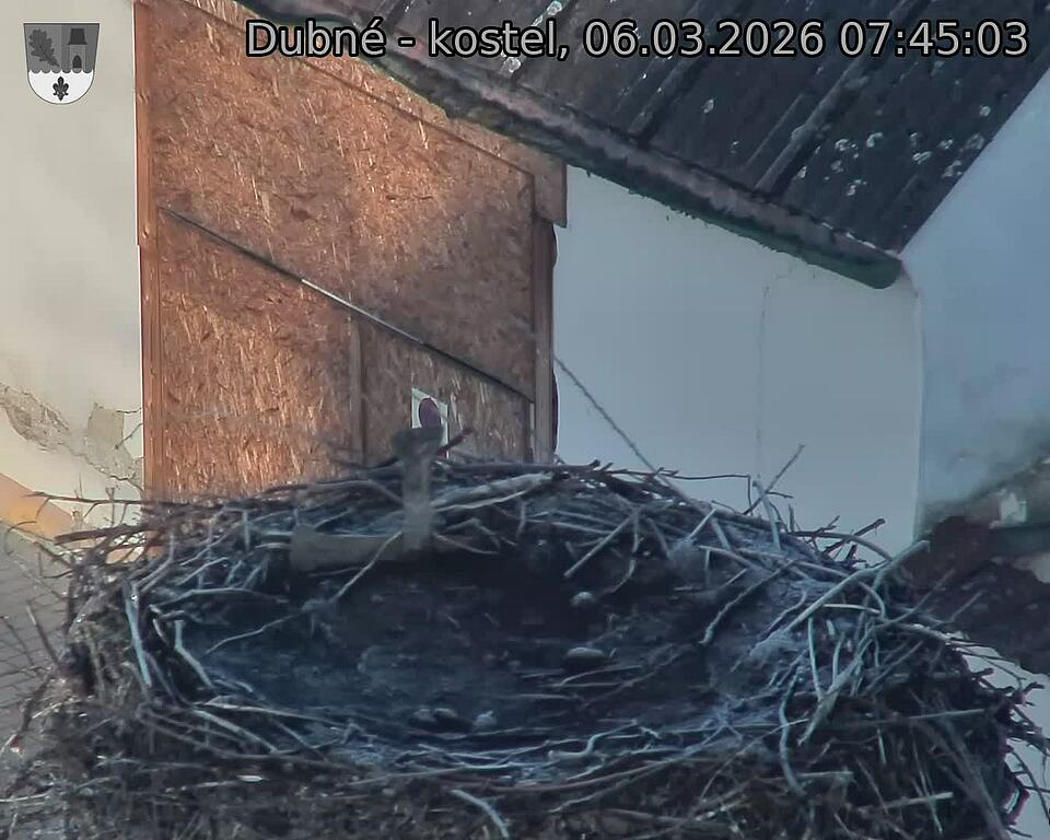 Capi_Dubne_20260306_074503.jpg (1350&nbsp;x&nbsp;1080)