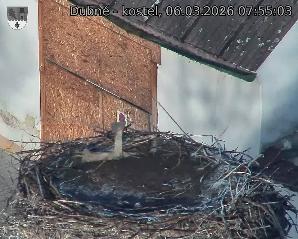 Capi_Dubne_20260306_075503.jpg (1350&nbsp;x&nbsp;1080)