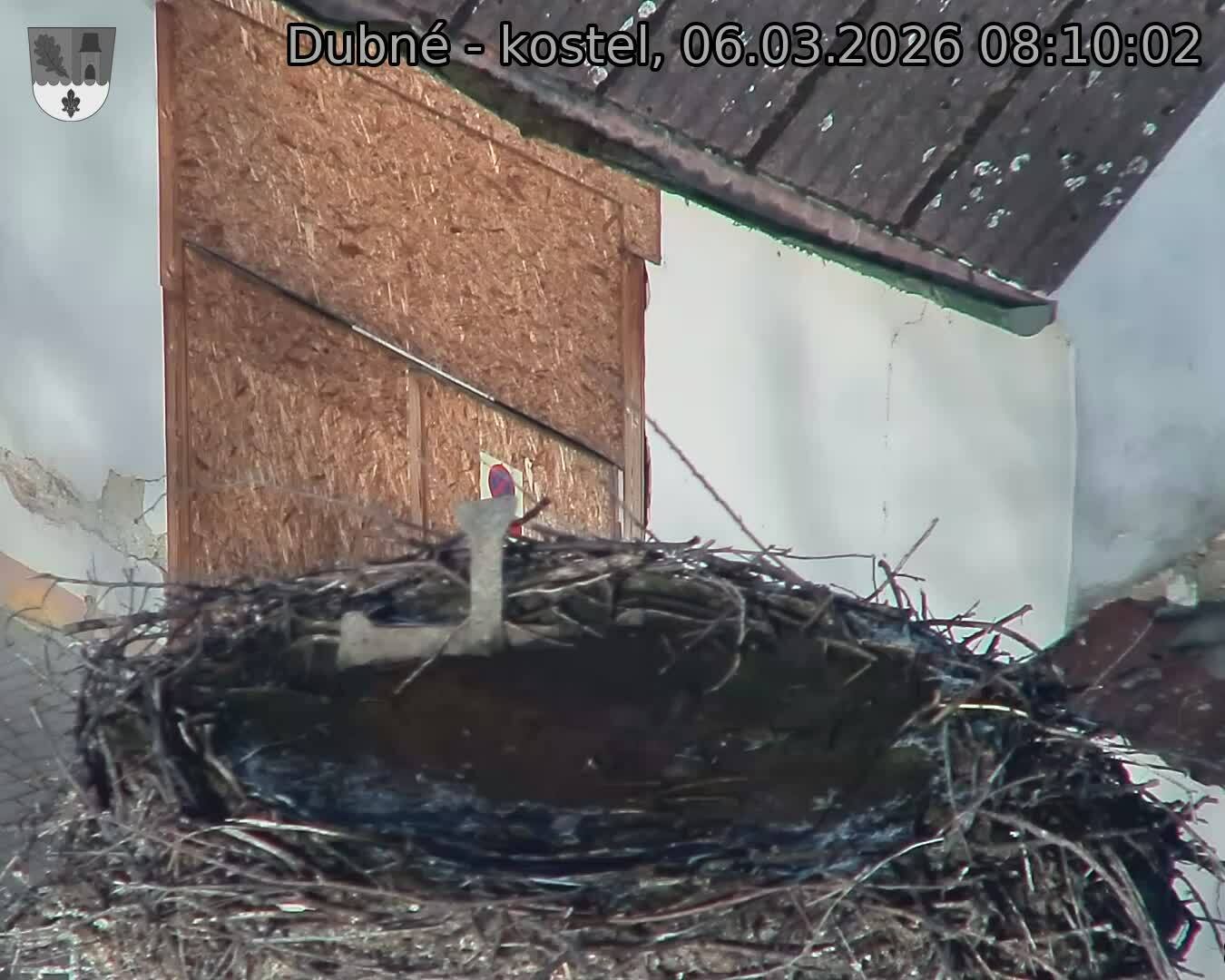 Capi_Dubne_20260306_081002.jpg (1350&nbsp;x&nbsp;1080)