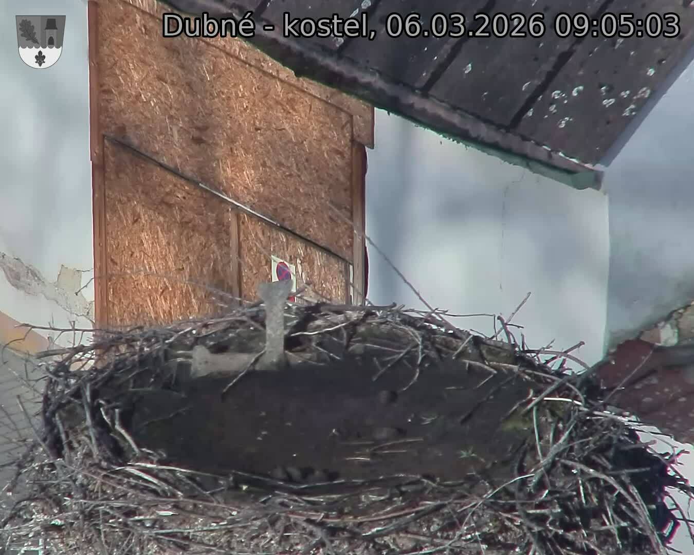 Capi_Dubne_20260306_090503.jpg (1350&nbsp;x&nbsp;1080)