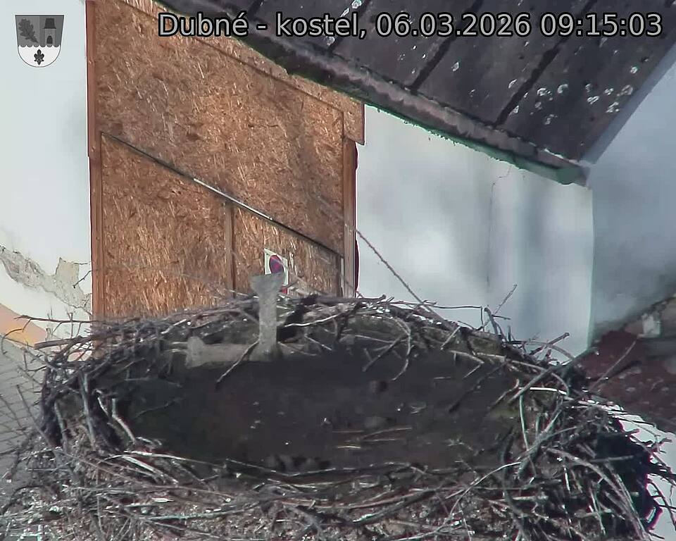 Capi_Dubne_20260306_091503.jpg (1350&nbsp;x&nbsp;1080)