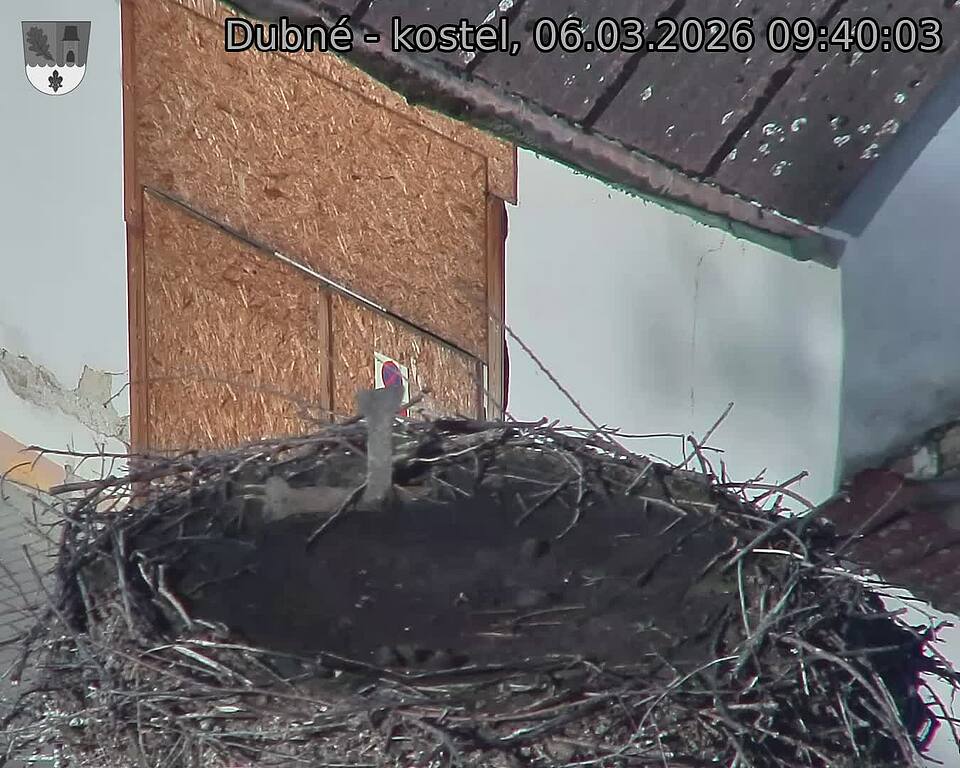 Capi_Dubne_20260306_094003.jpg (1350&nbsp;x&nbsp;1080)