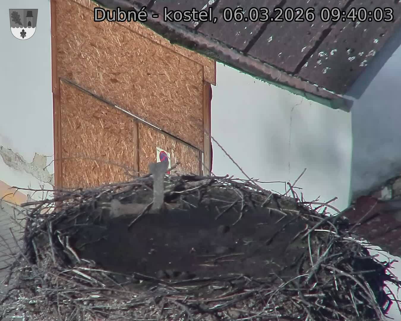 Capi_Dubne_20260306_094003.jpg (1350&nbsp;x&nbsp;1080)