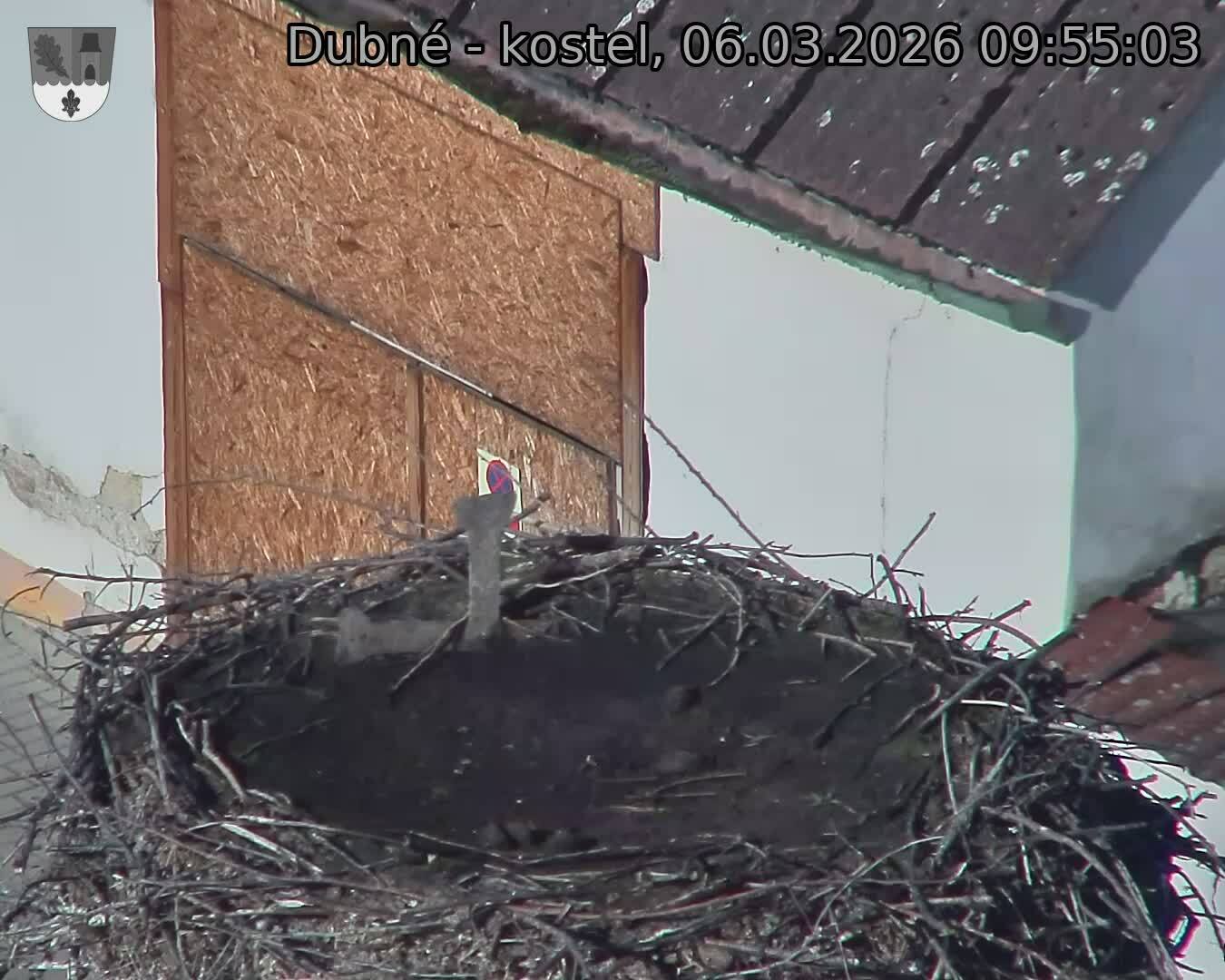 Capi_Dubne_20260306_095503.jpg (1350&nbsp;x&nbsp;1080)