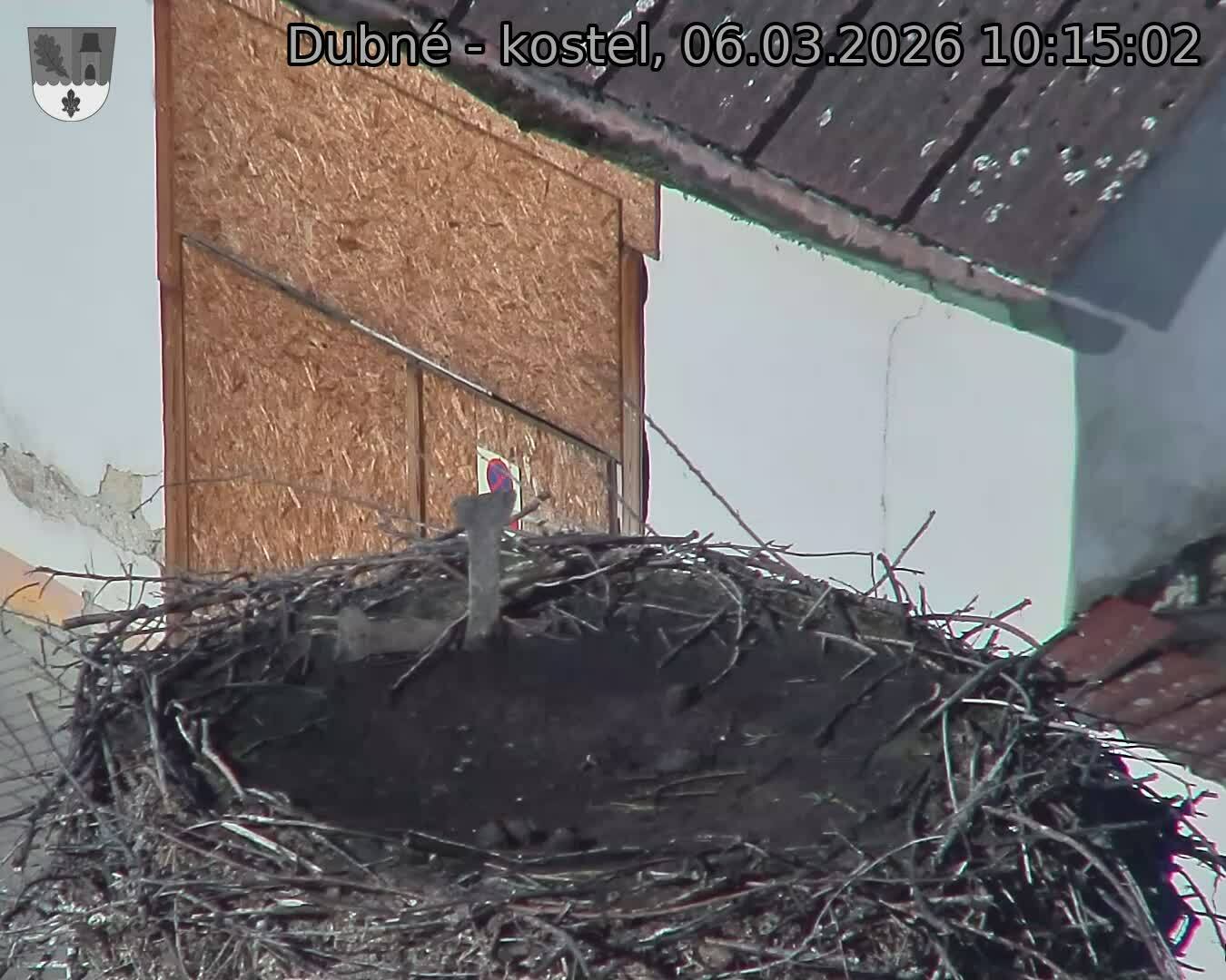 Capi_Dubne_20260306_101502.jpg (1350&nbsp;x&nbsp;1080)
