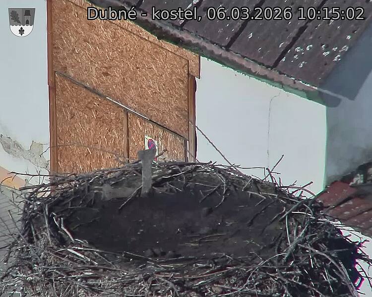 Capi_Dubne_20260306_101502.jpg (1350&nbsp;x&nbsp;1080)