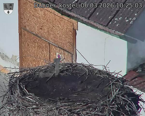 Capi_Dubne_20260306_102503.jpg (1350&nbsp;x&nbsp;1080)