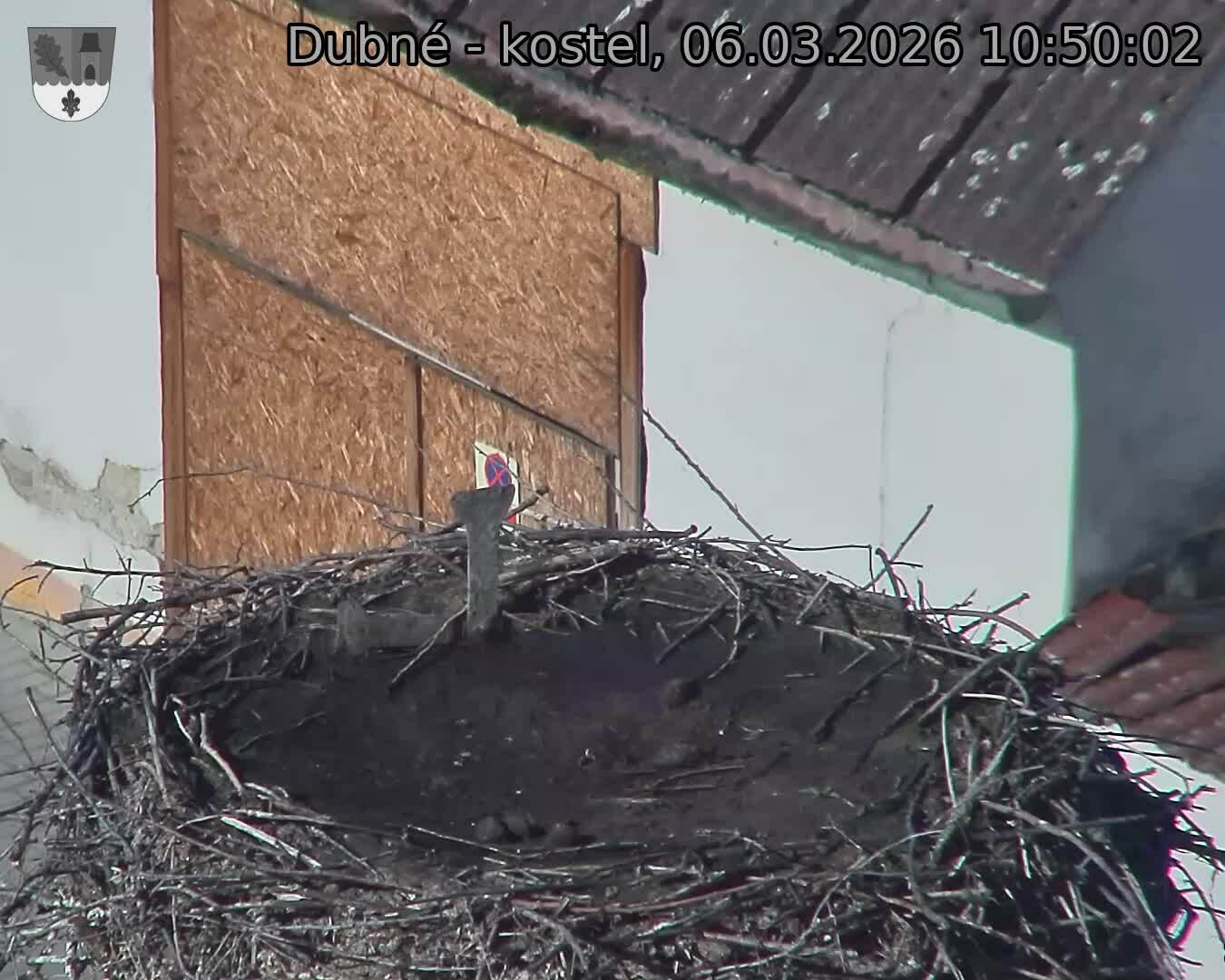 Capi_Dubne_20260306_105002.jpg (1350&nbsp;x&nbsp;1080)