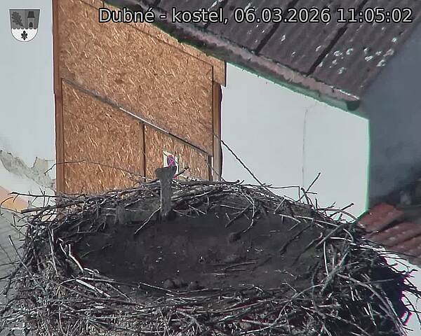 Capi_Dubne_20260306_110502.jpg (1350&nbsp;x&nbsp;1080)