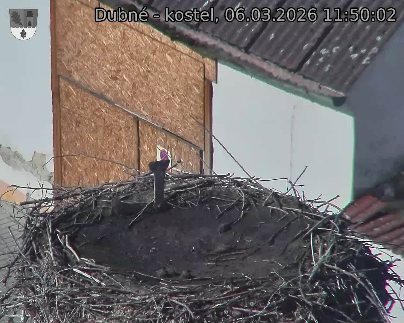 Capi_Dubne_20260306_115002.jpg (1350&nbsp;x&nbsp;1080)