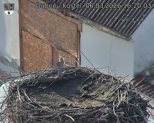 Capi_Dubne_20260306_162003.jpg (1350&nbsp;x&nbsp;1080)